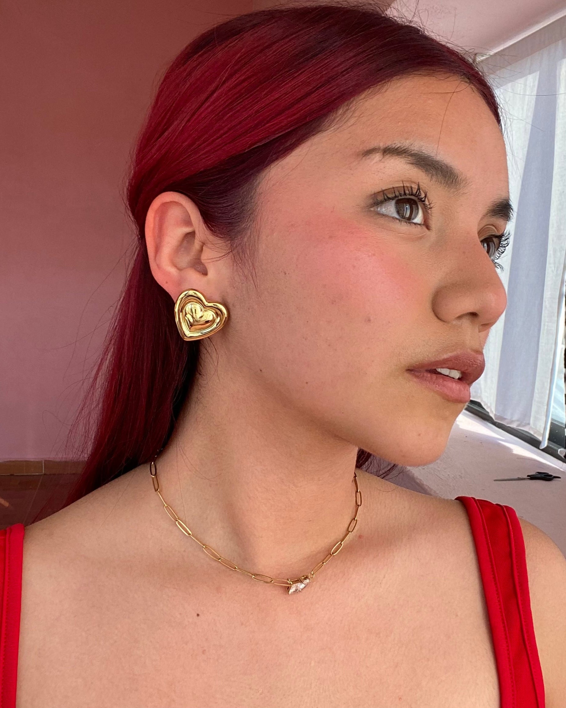 Aretes Amistad